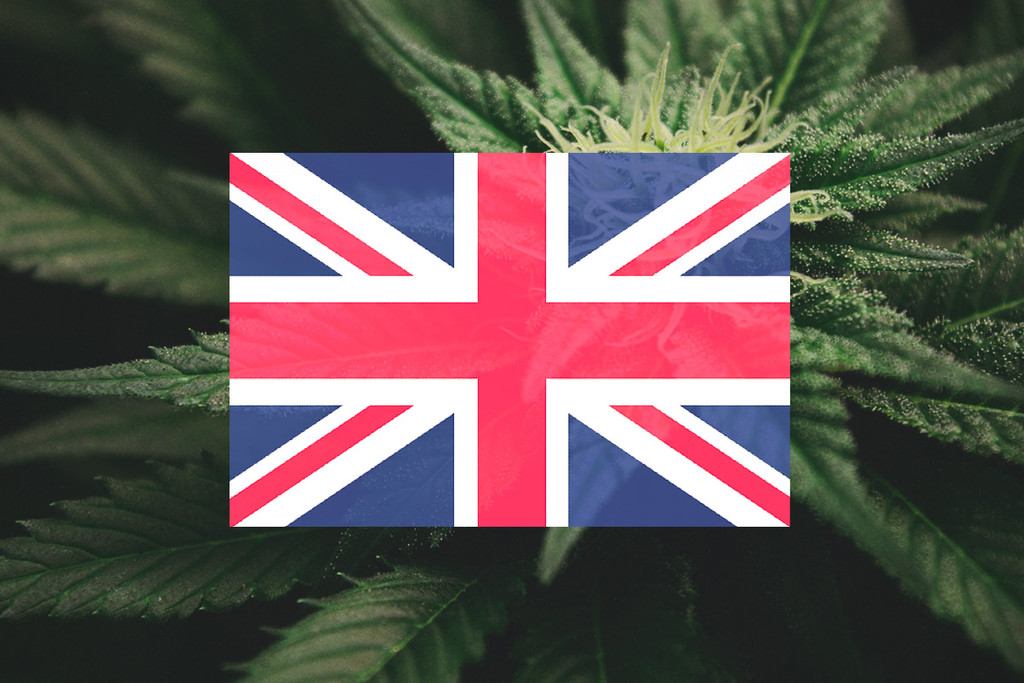 ᐅ Growing Weed UK Guide - Is it Legal in 2023?