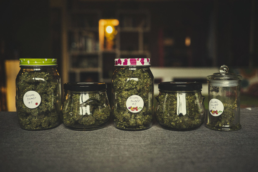 How to Make Weed Last Longer - RQS Blog