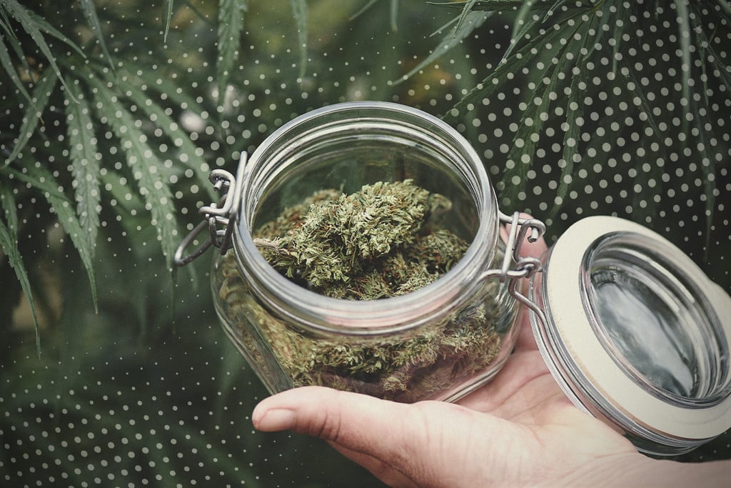 Cannabis Curing Guide Using A Hygrometer & Jars