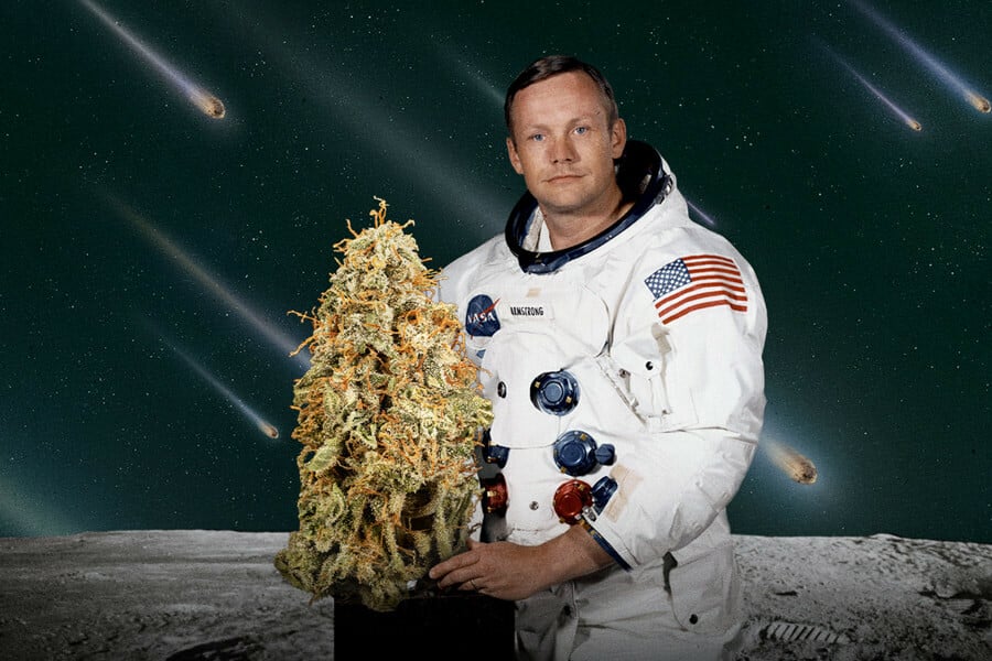 Is It Possible to Grow Weed in Space?