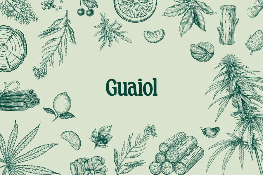 Guaiol: A Lesser-Known Marijuana Terpene