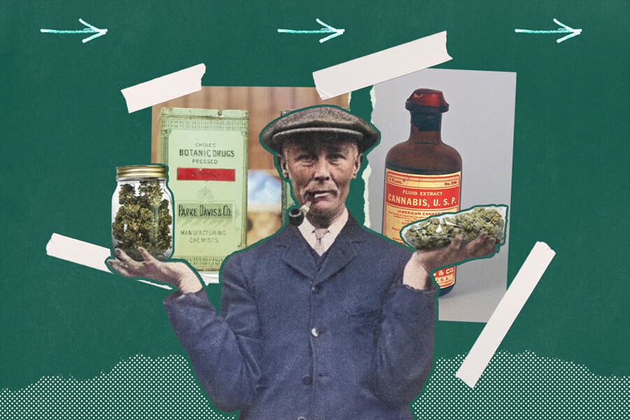 How Has Cannabis Packaging Evolved Over the Years? 