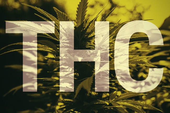 What is THC?