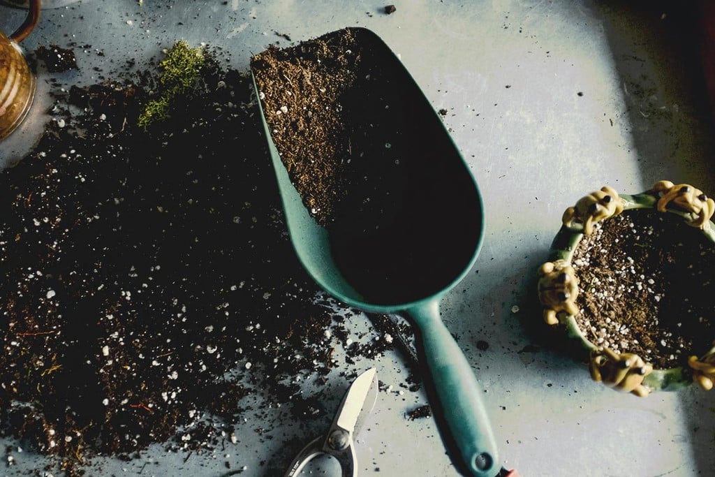 How To Create Your Own Cannabis Super Soil Mix - RQS Blog