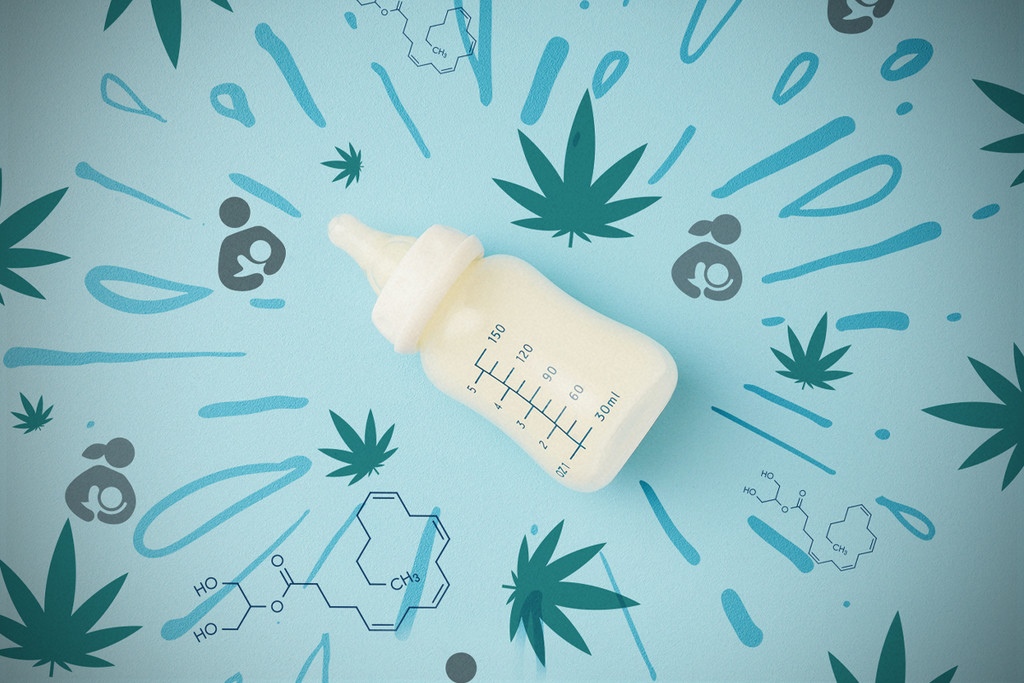 Cannabis And Breastfeeding How Cannabinoids Affect A Mother's Milk