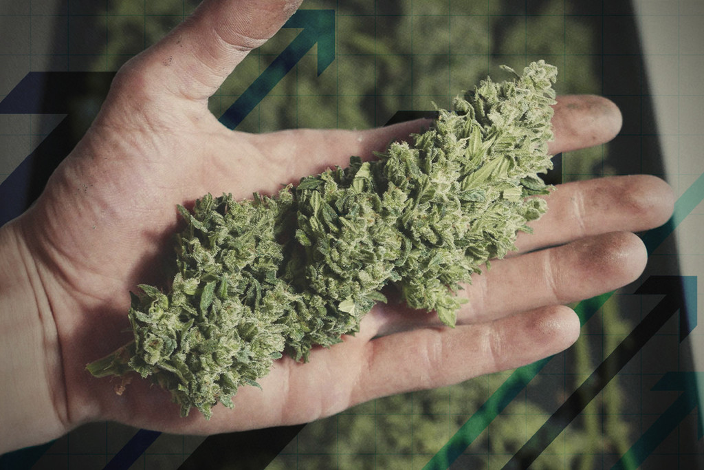 marijuana buds on scale - Medical Marijuana