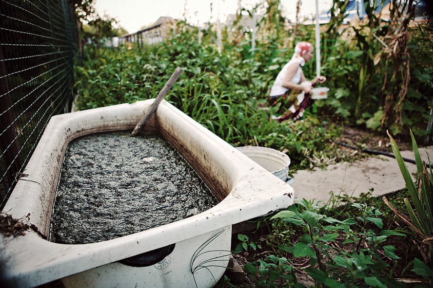 Compost Tea Recipe: How to Make Compost Tea