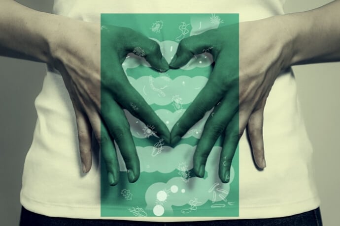 Does CBD Enhance Gut Health and Help Digestion?