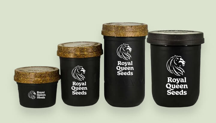 Modern Royal Queen Seeds containers in different sizes. Illustrates how cannabis packaging has evolved to better preserve product quality