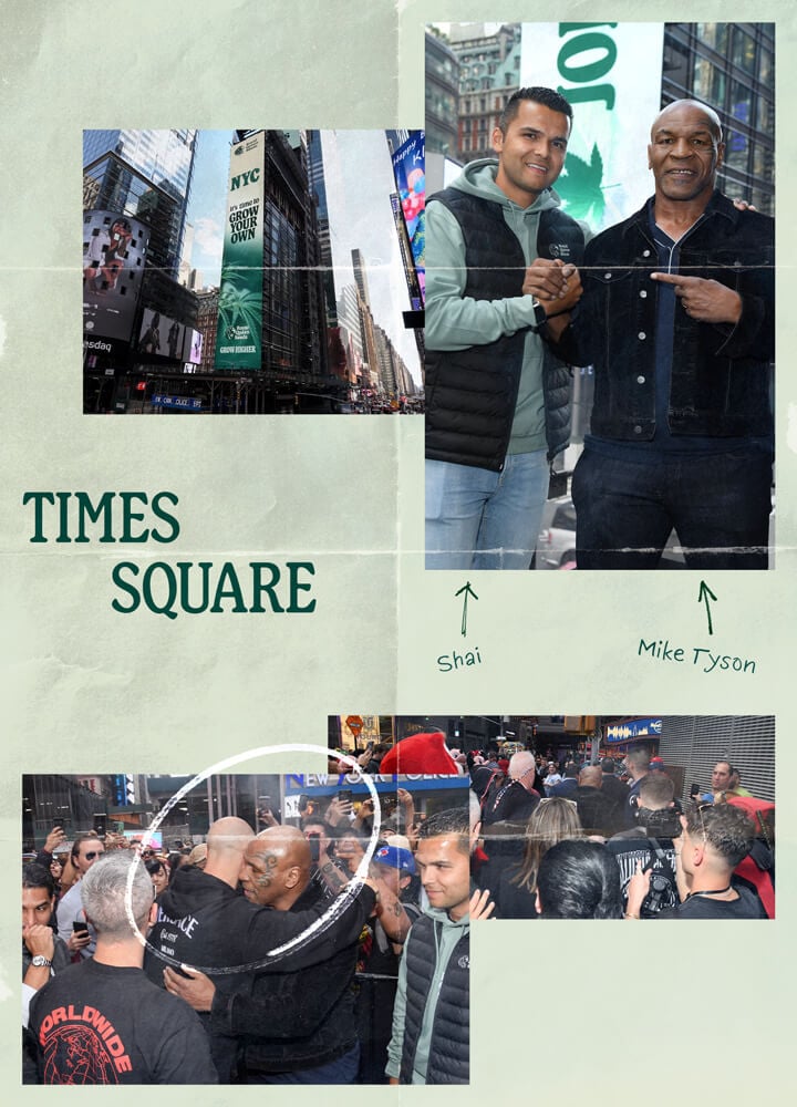 A collage of photos related to Times Square in New York City, featuring the iconic Times Square billboard, a photo of Mike Tyson, and images of people enjoying the bustling atmosphere of Times Square.