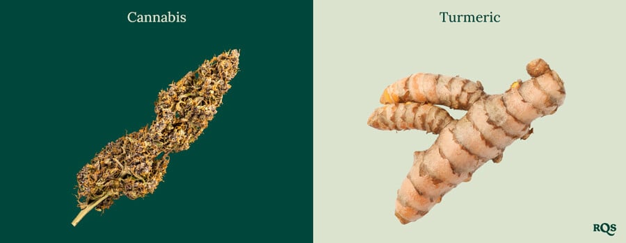 Cannabis and turmeric