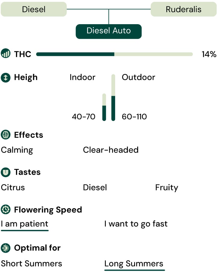 Diesel Auto Key Characteristics