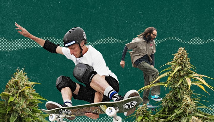 Crossover between cannabis culture and skateboarding.