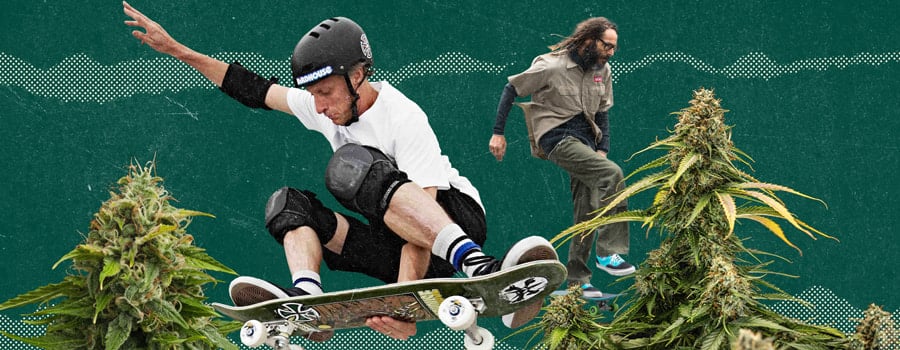 Crossover between cannabis culture and skateboarding.