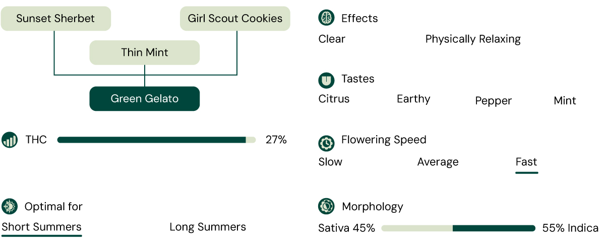 Green Gelato Characteristics