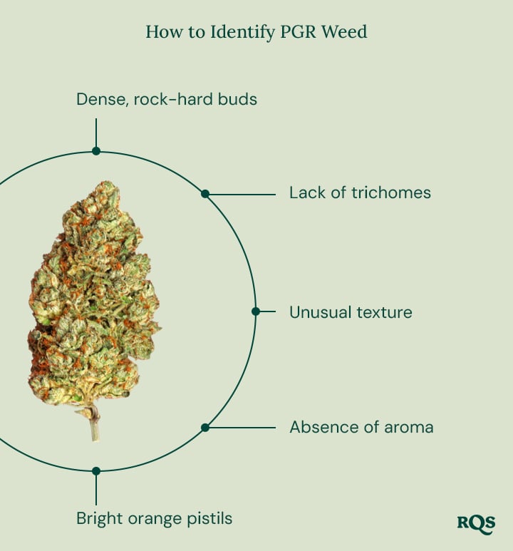 A guide on how to identify PGR Weed, listing key characteristics, with the RQS logo in the bottom right corner.