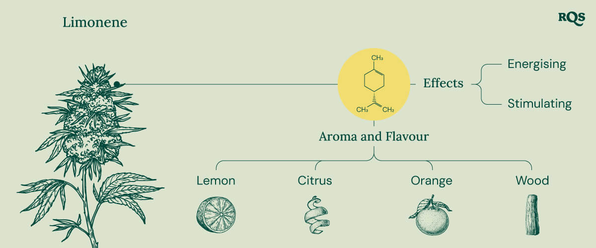 Limonene Characteristics