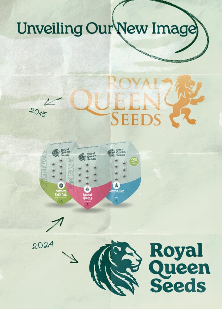 Evolution of the Royal Queen Seeds logo from 2015 to 2024, showcasing the original gold logo with a lion and the updated green logo with a modern lion design. The image also features the company's new seed packaging.