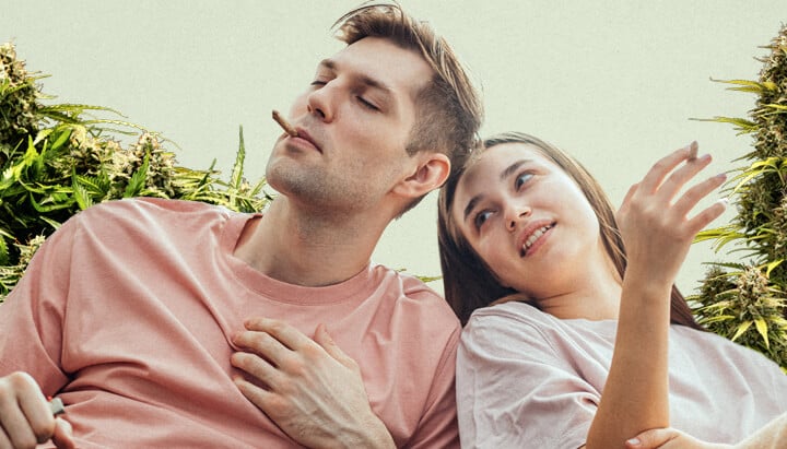 A man in a pink shirt smoking a lit joint and a smiling woman in a white shirt relaxing together, surrounded by lush cannabis plants, highlighting the connection between cannabis culture and relaxation.