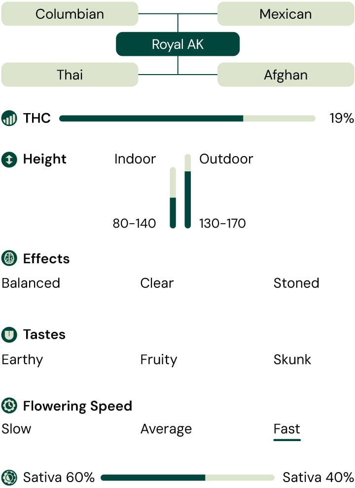 Royal AK Characteristics