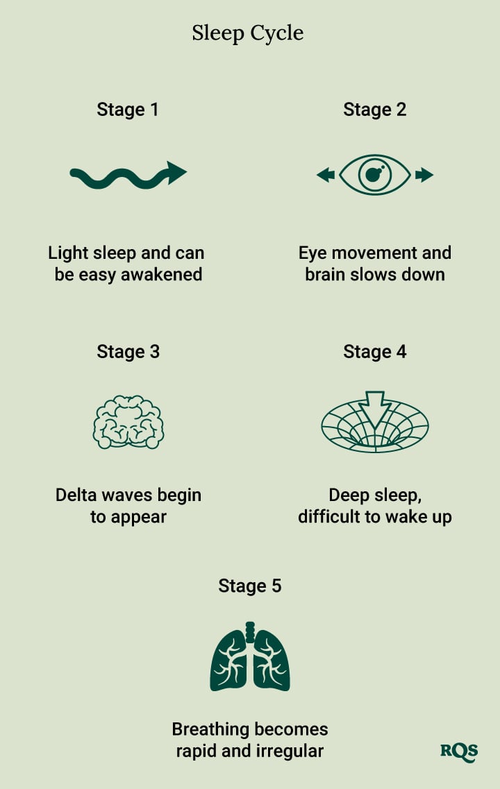 Sleep Cycle