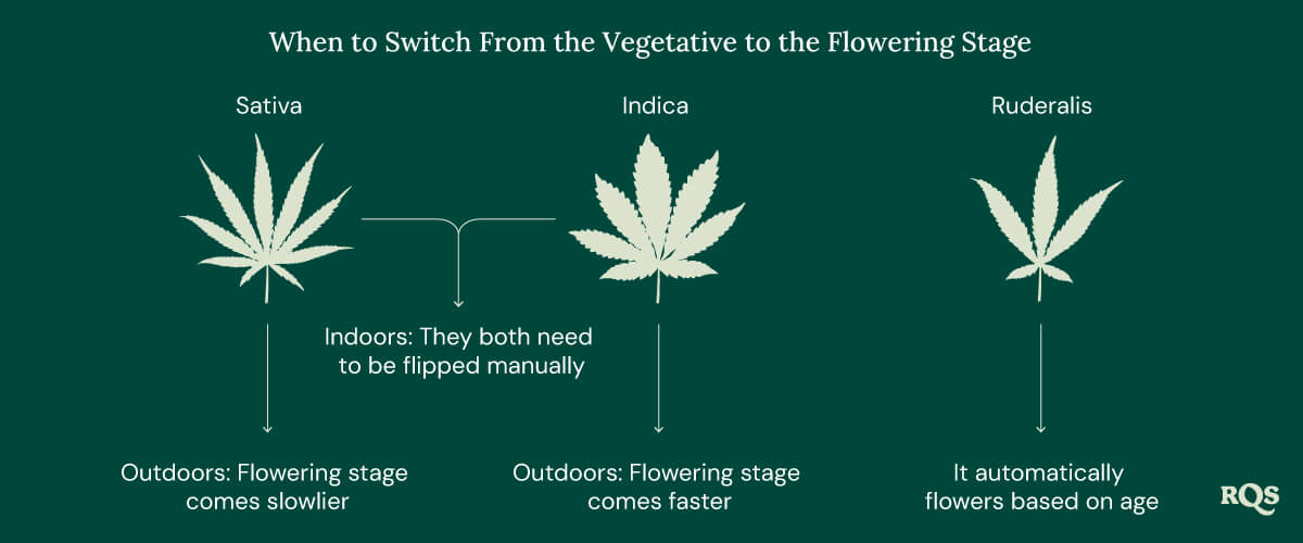 Switch ve to flowering