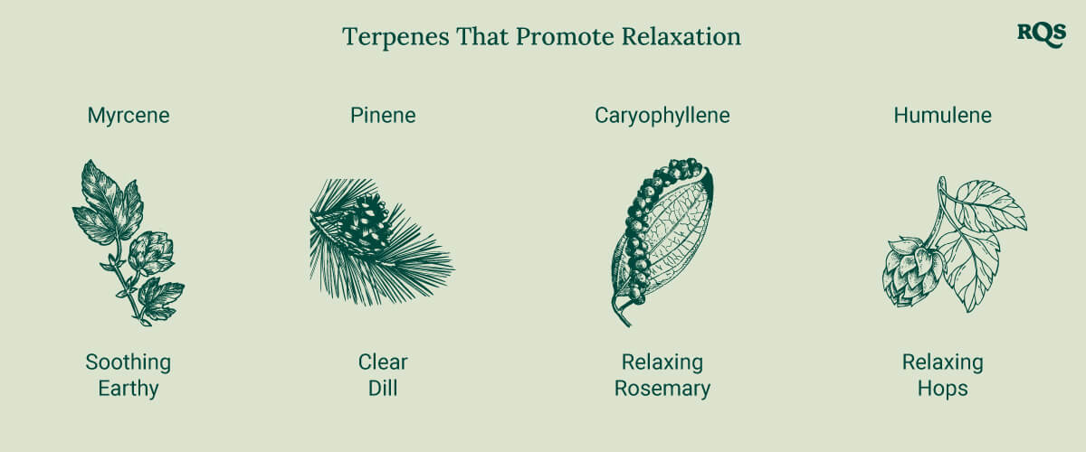 A diagram showcasing relaxing terpenes, including Myrcene, Pinene, Caryophyllene, and Humulene, listed alphabetically with images of their source plants, highlighting their calming effects.