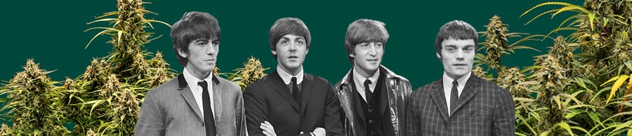 Black and white photo of The Beatles, featuring all four members with cannabis plants in the background and a dark green backdrop, highlighting the iconic scene.