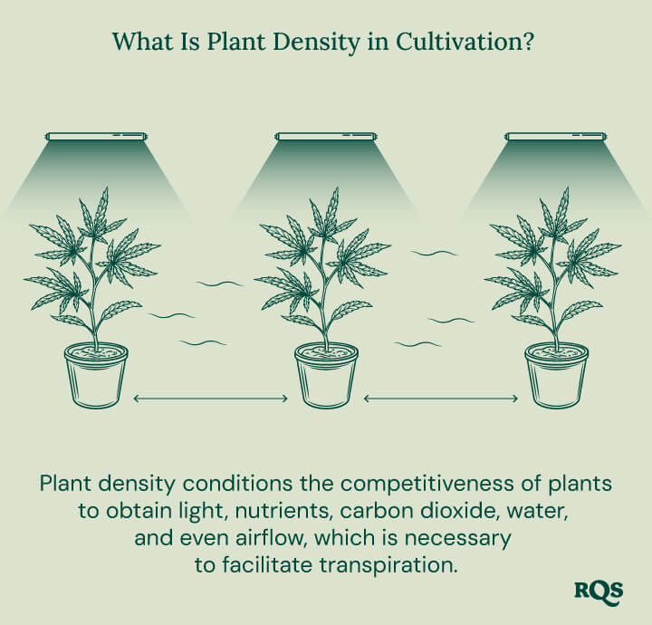 What is plant density 