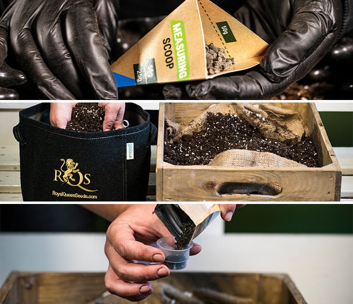 Collage of three images showing a person adding RQS nutrients to the soil of a cannabis plant. The visuals emphasize proper feeding techniques to ensure healthy growth and avoid nutrient problems, showcasing the careful handling of nutrient solutions and their application in cannabis cultivation.