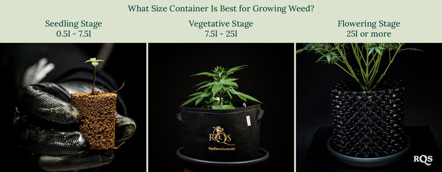 Best pot size for cannabis
