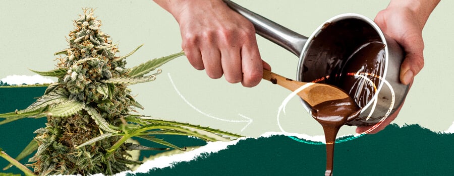 Person stirring a pot of melted chocolate, collaged with an image of a cannabis plant for visual contrast.