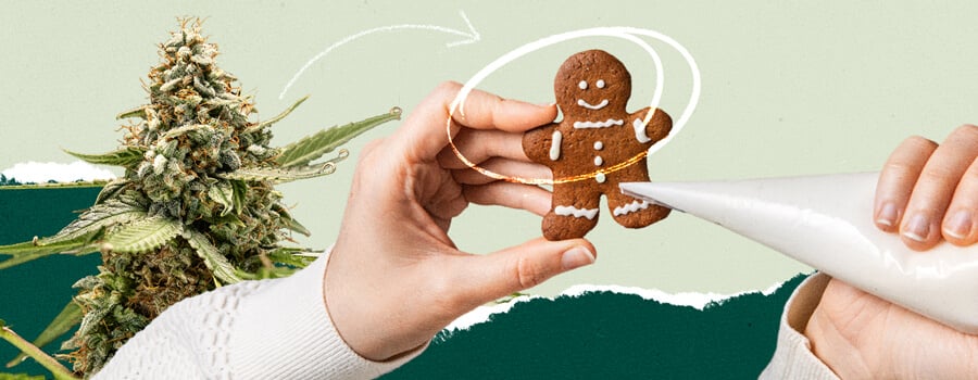 Gingerbread man cookie being decorated with white icing for holiday baking.