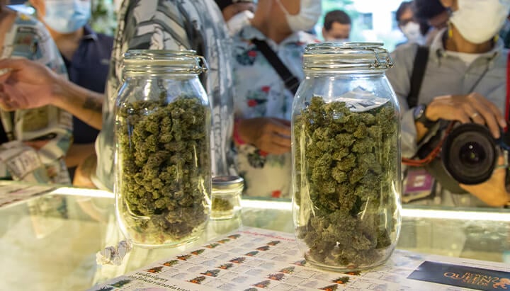 Glass jars filled with cannabis buds. Depicts how cannabis presentation has changed with legalization, reflecting packaging evolution.