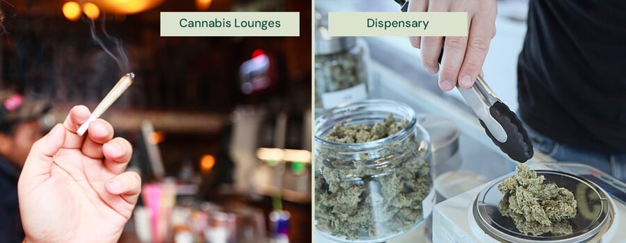 A split image shows a hand holding a lit joint in a cannabis lounge on the left, and a person using tongs to select cannabis from a jar in a dispensary on the right.