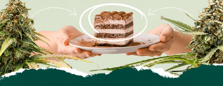 Collage of a person holding a plate of tiramisu and a close-up of a cannabis plant, highlighting a unique pairing concept.