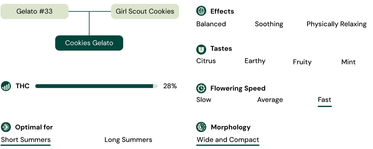 Cookies Gelato Key Attributes