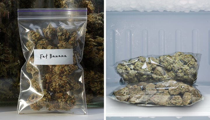 Two images showcasing cannabis storage. On the left, a clear bag labeled 