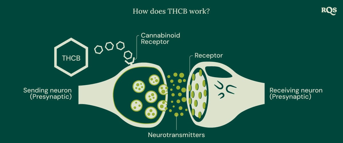 How does THCB work