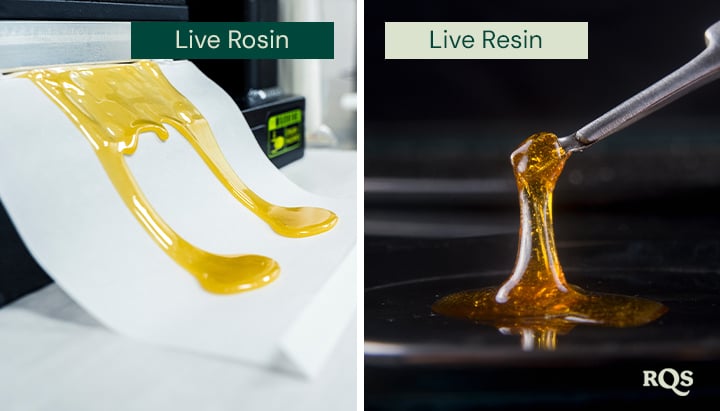 Comparison of live rosin and live resin, featuring two images side by side. On the left, golden live rosin is spread on paper. On the right, live resin is lifted with a tool, showcasing its glossy texture.