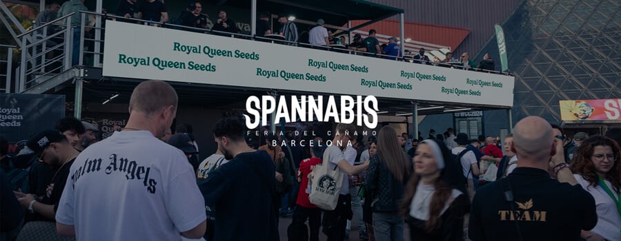 Spannabis