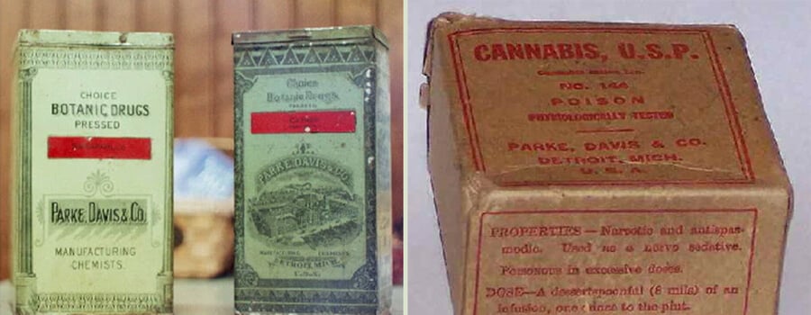 Vintage cannabis packaging from Parke, Davis & Co. from the 19th century. Shows early pharmaceutical packaging before cannabis regulation.