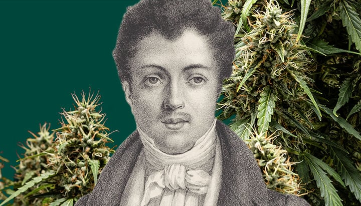 Black and white portrait of Alexandre Dumas with a green background, featuring cannabis plants surrounding the iconic writer.