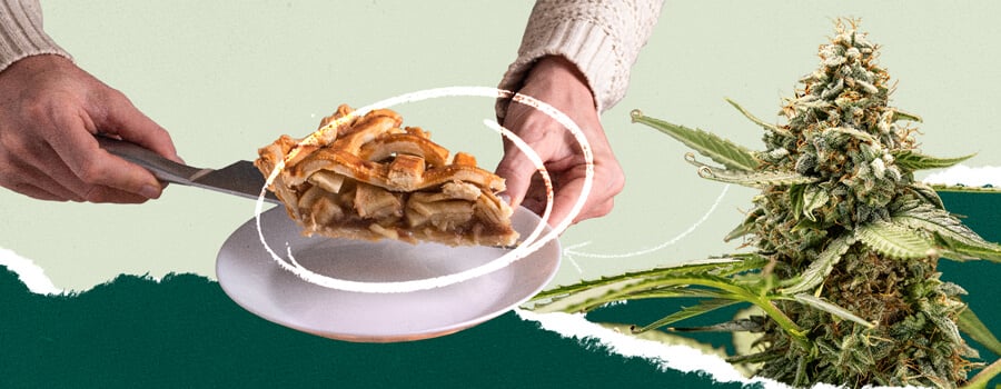 A person cutting a slice of apple pie, combined in a collage with an image of a cannabis plant. Visual representation for culinary and cannabis themes.