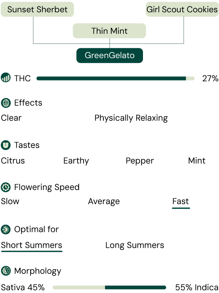 Green Gelato Characteristics