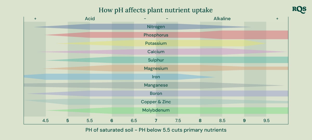 Bar graph depicting how soil pH (ranging from 4.5 to 9.5) impacts the availability of nutrients like nitrogen, phosphorus, potassium, calcium, sulfur, magnesium, iron, manganese, boron, copper, zinc, and molybdenum.