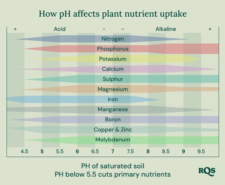 Bar graph depicting how soil pH (ranging from 4.5 to 9.5) impacts the availability of nutrients like nitrogen, phosphorus, potassium, calcium, sulfur, magnesium, iron, manganese, boron, copper, zinc, and molybdenum.