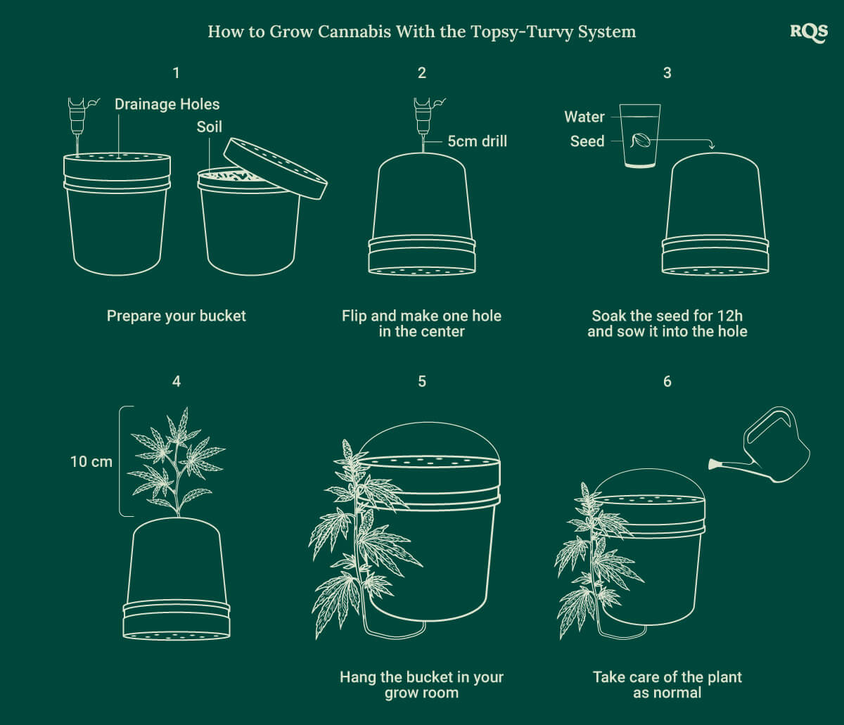 How to grow up dise down cannabis
