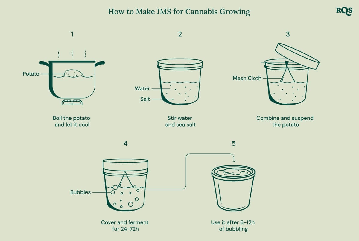 A step-by-step guide on how to make a potato-based fertilizer for cannabis plants.