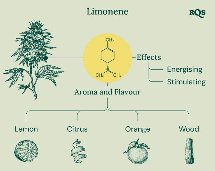 Limonene Characteristics